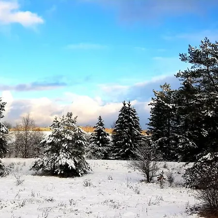 Dom Pod Sosna Alojamento de Acomodação e Pequeno-almoço 3*