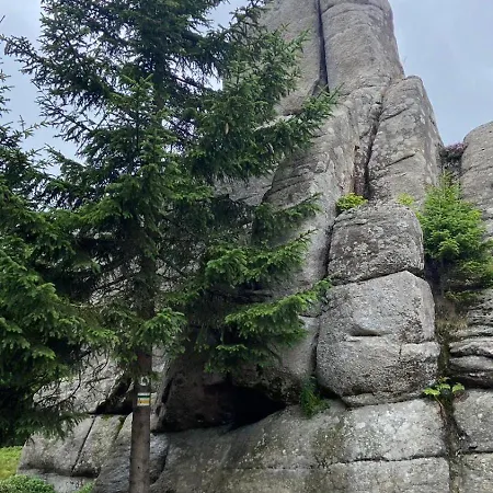 Dom Pod Sosna Alojamento de Acomodação e Pequeno-almoço 3*