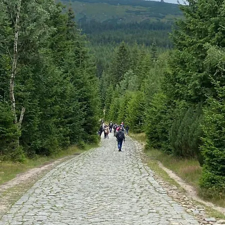 Dom Pod Sosna Alojamento de Acomodação e Pequeno-almoço Karpacz